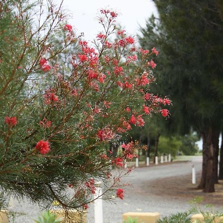 Bed and Breakfast The Heights Bed&Breakfast Jurien Bay Exterior foto